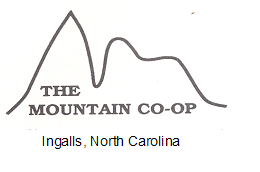 Mt logo